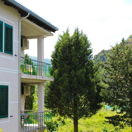Agroturizem Hotel Vila Franceze Koman Esterno foto
