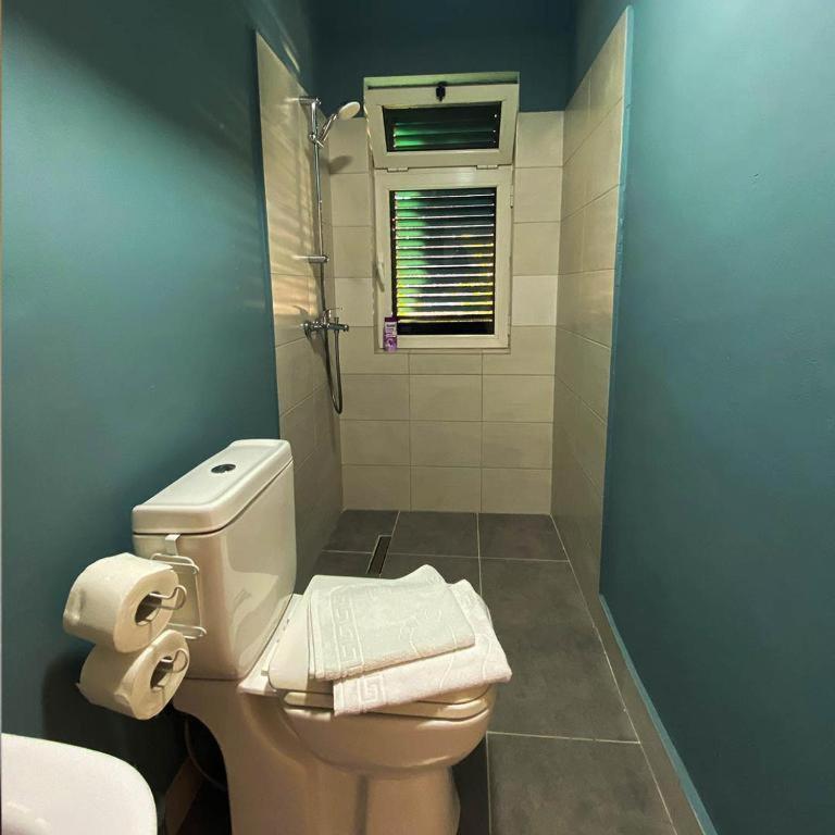 Agroturizem Hotel Vila Franceze Koman Esterno foto