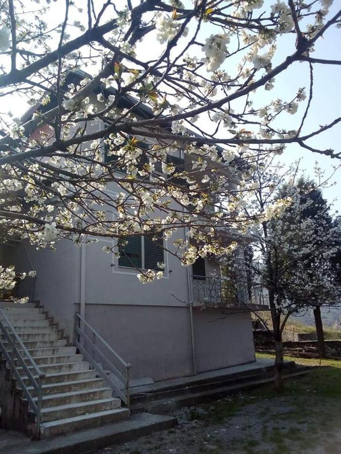 Agroturizem Hotel Vila Franceze Koman Esterno foto