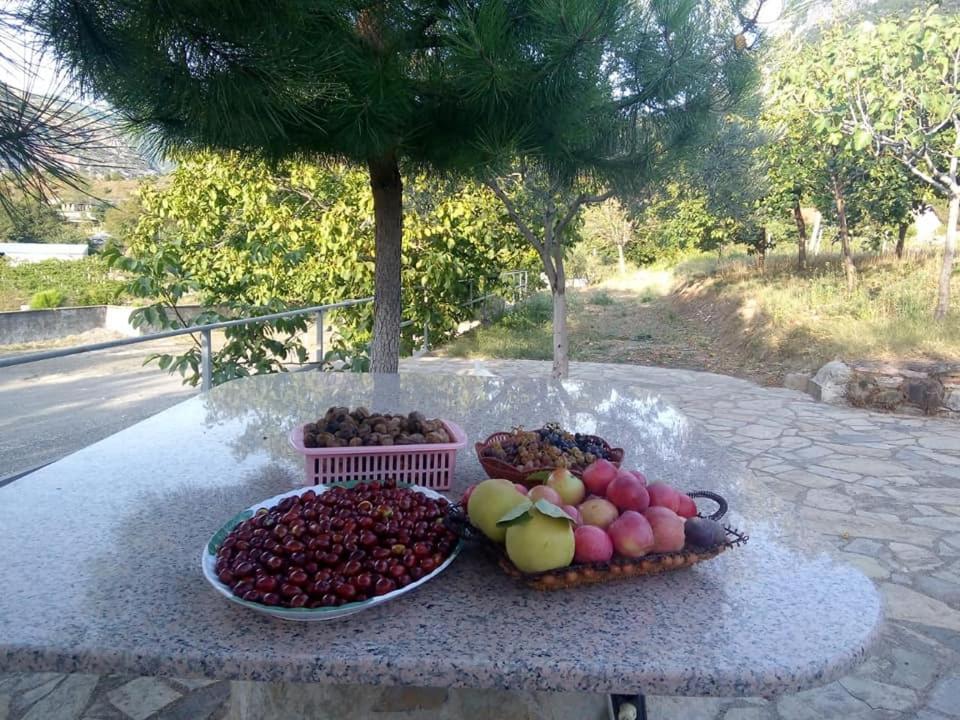 Agroturizem Hotel Vila Franceze Koman Esterno foto