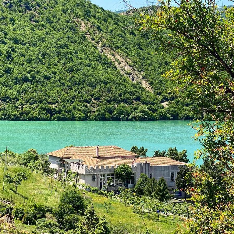 Agroturizem Hotel Vila Franceze Koman Esterno foto